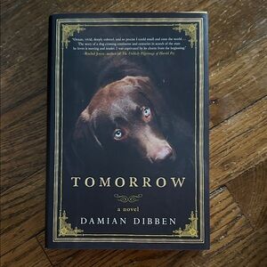 Tomorrow by Damian Dibben Hardcover Book